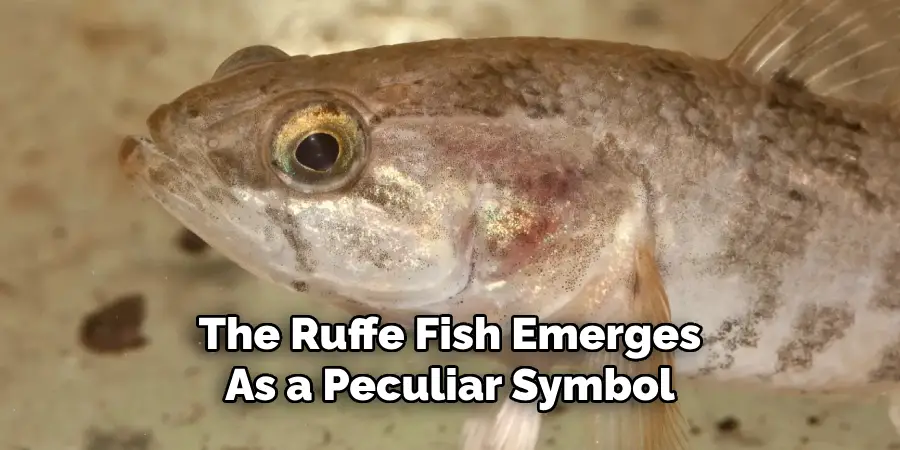 The Ruffe Fish Emerges 
As a Peculiar Symbol