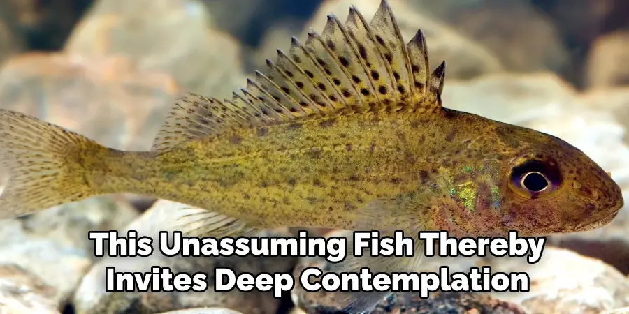 This Unassuming Fish Thereby Invites Deep Contemplation