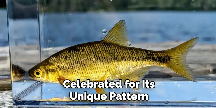 Celebrated for Its Unique Pattern