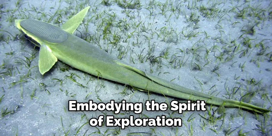 Embodying the Spirit of Exploration 