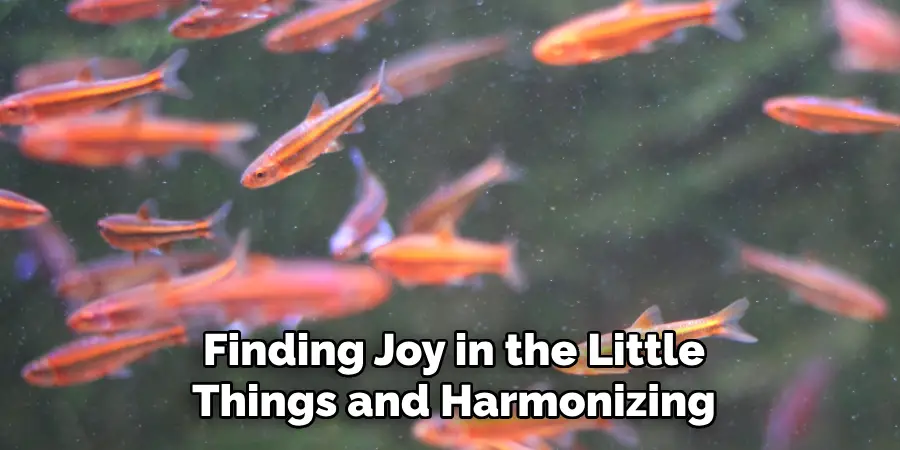 Finding Joy in the Little Things and Harmonizing