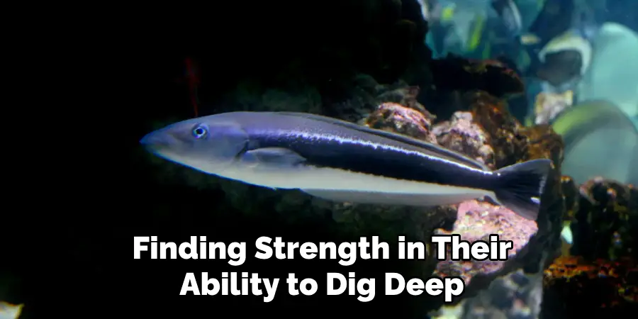 Finding Strength in Their Ability to Dig Deep