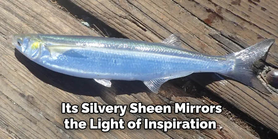  Its Silvery Sheen Mirrors the Light of Inspiration