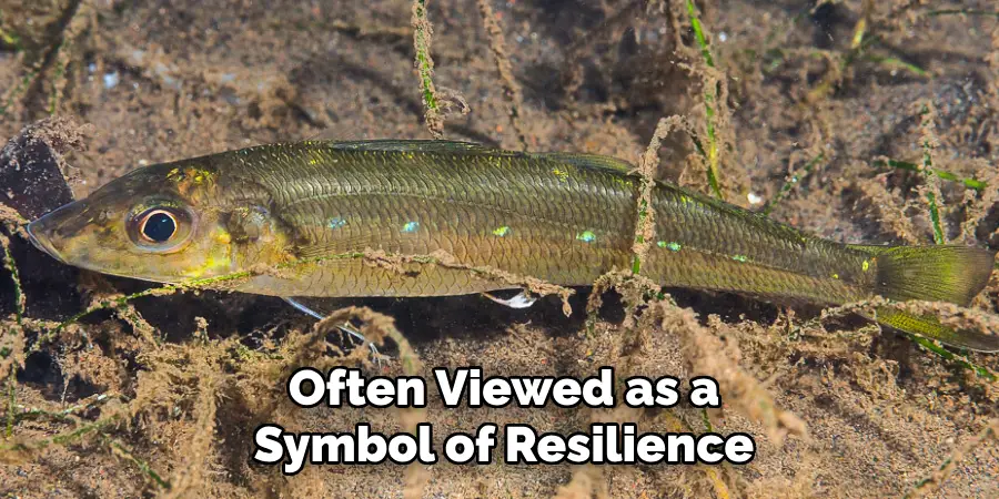 Often Viewed as a Symbol of Resilience