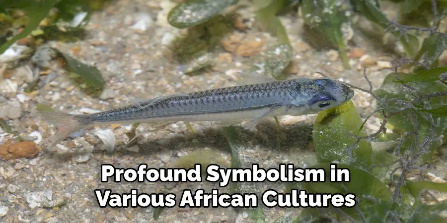 Profound Symbolism in Various African Cultures