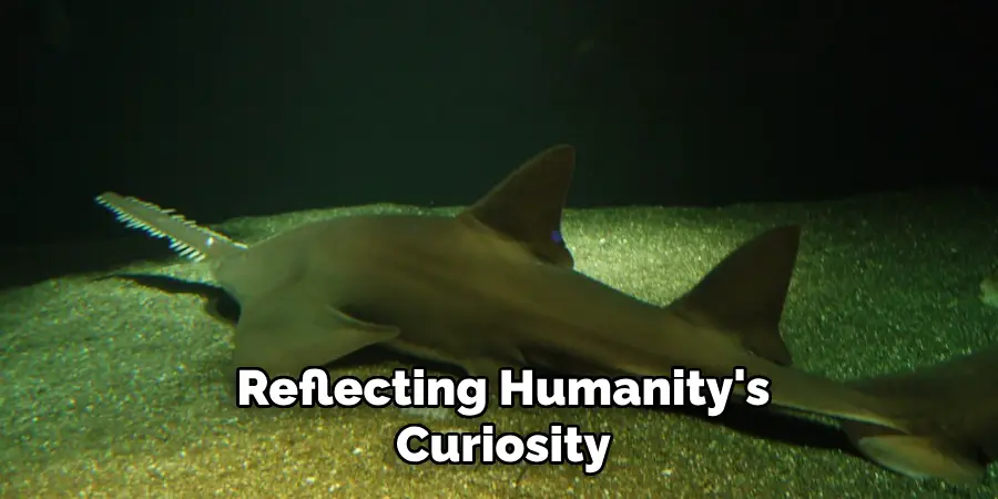 Reflecting Humanity's Curiosity