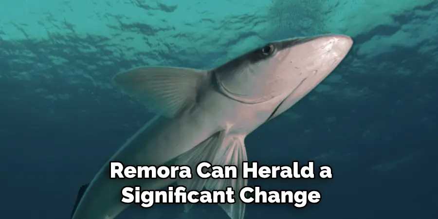 Remora Can Herald a Significant Change