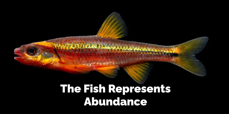 The Fish Represents Abundance