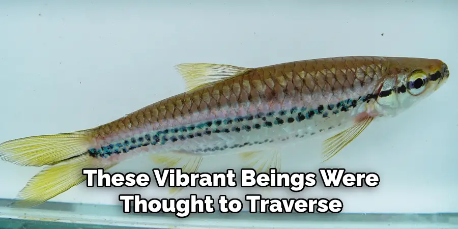 These Vibrant Beings Were Thought to Traverse