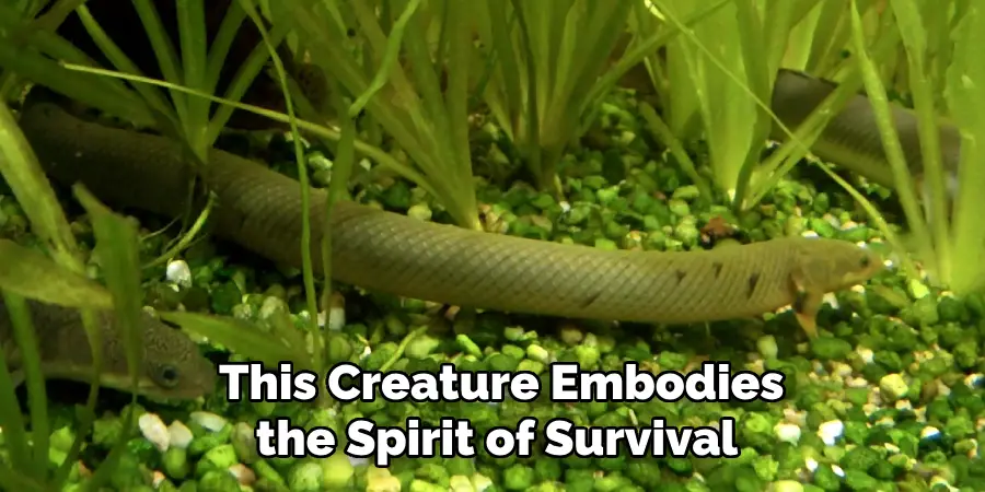  This Creature Embodies the Spirit of Survival