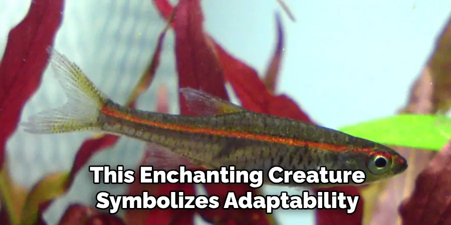 This Enchanting Creature Symbolizes Adaptability