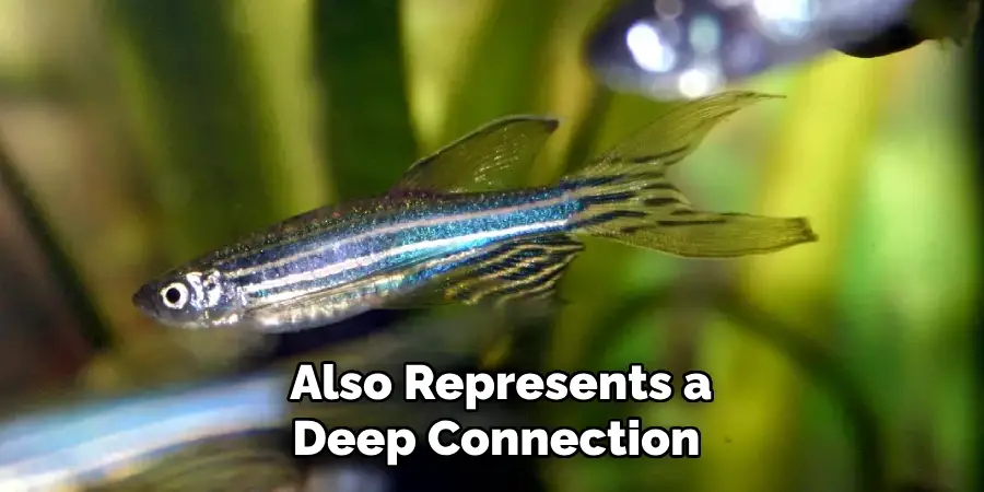 Also Represents a Deep Connection