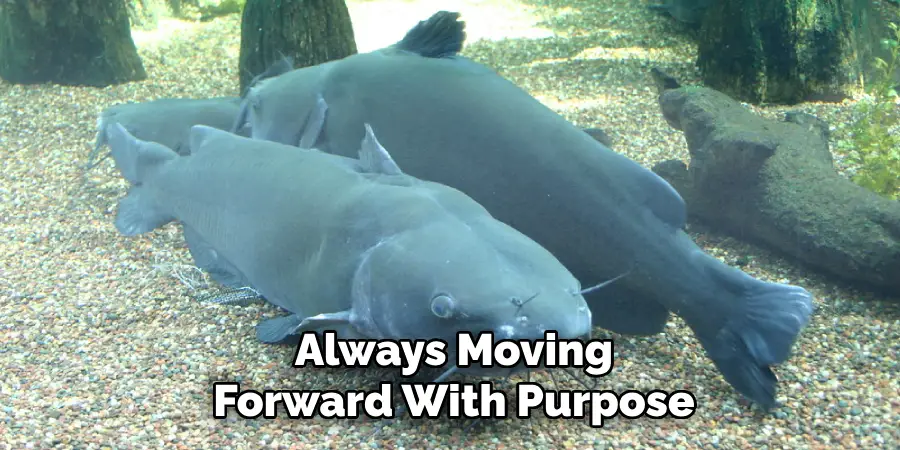 Always Moving
Forward With Purpose