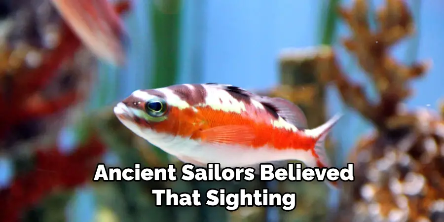 Ancient Sailors Believed That Sighting