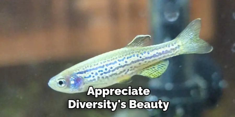 Appreciate Diversity's Beauty