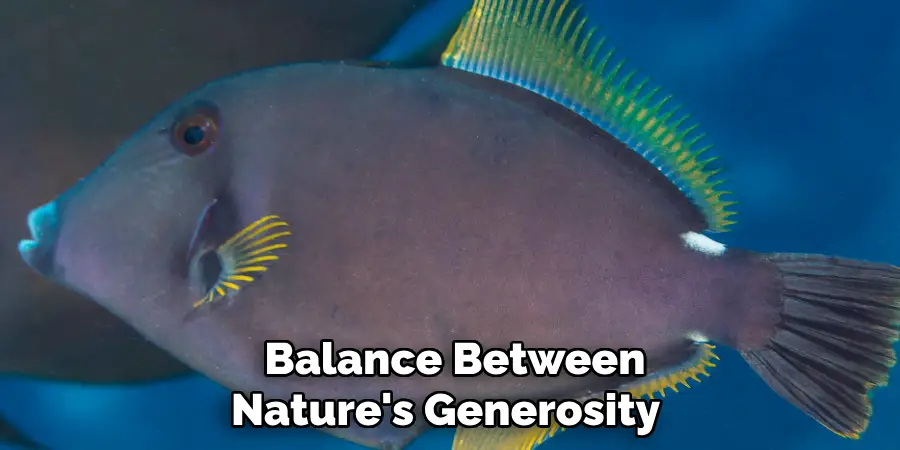  Balance Between Nature's Generosity 