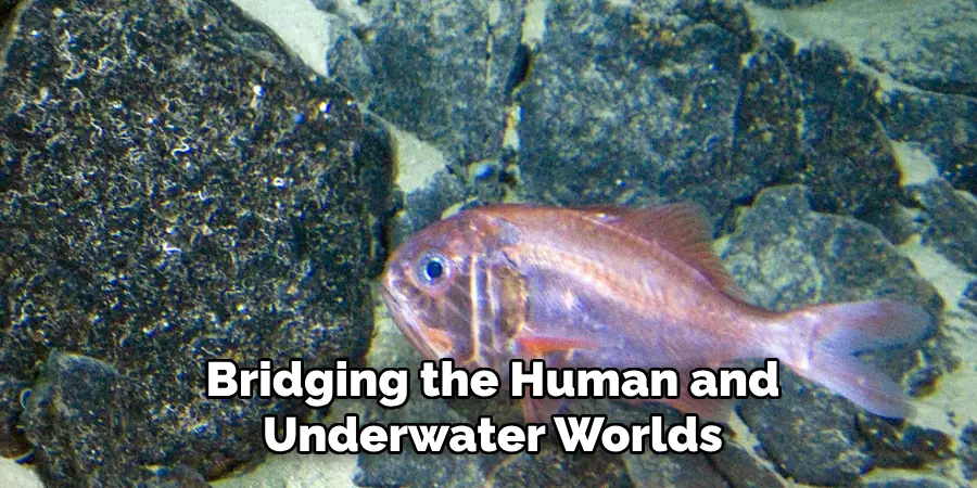 Bridging the Human and Underwater Worlds