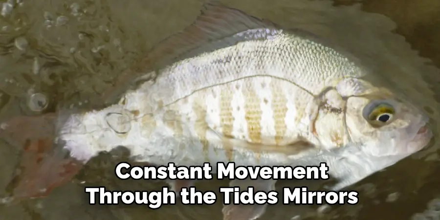 Constant Movement
Through the Tides Mirrors