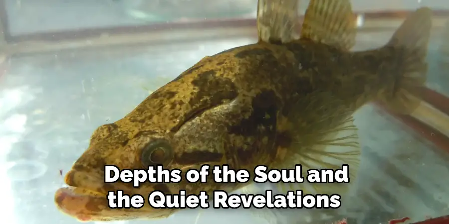 Depths of the Soul and the Quiet Revelations 