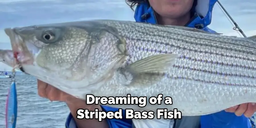 Dreaming of a
Striped Bass Fish