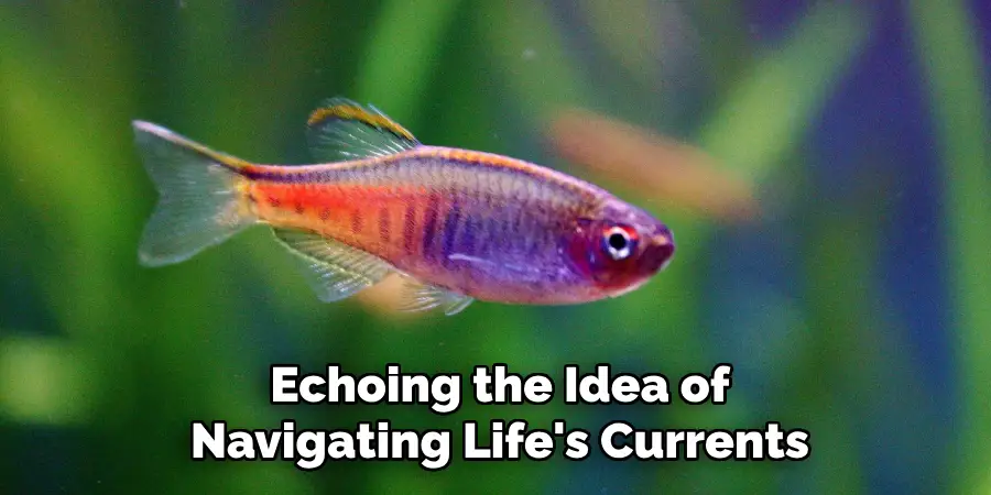 Echoing the Idea of Navigating Life's Currents