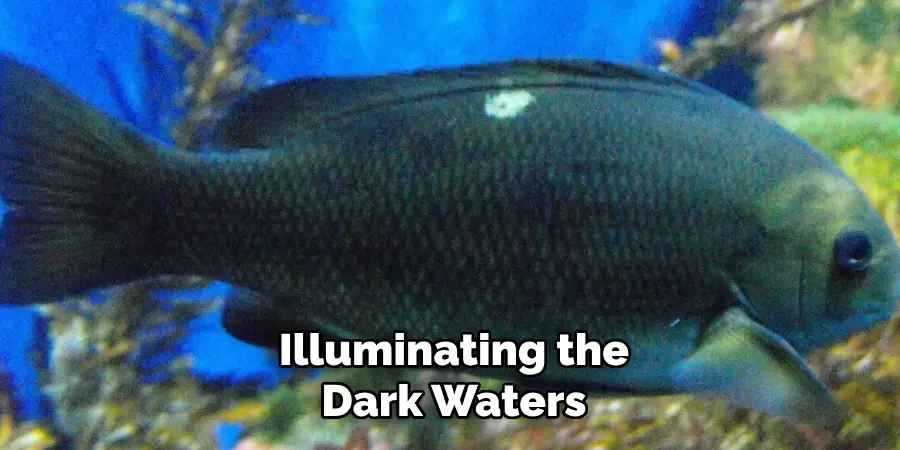 Illuminating the Dark Waters