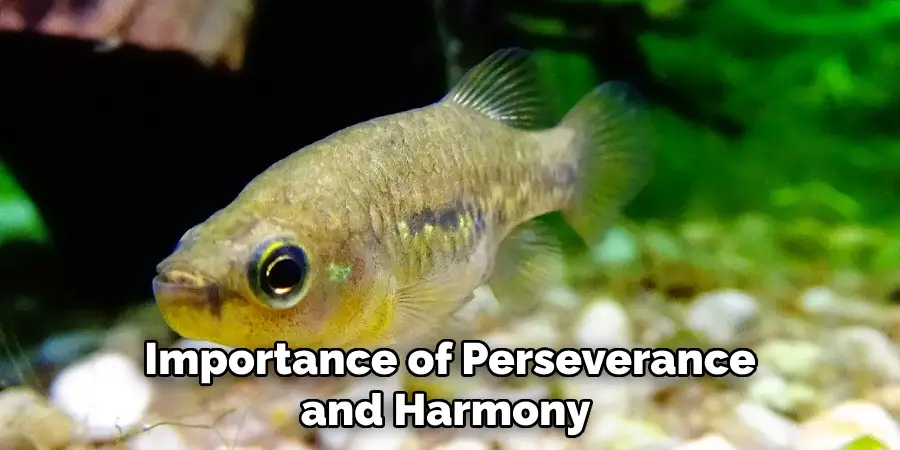 Importance of Perseverance and Harmony 