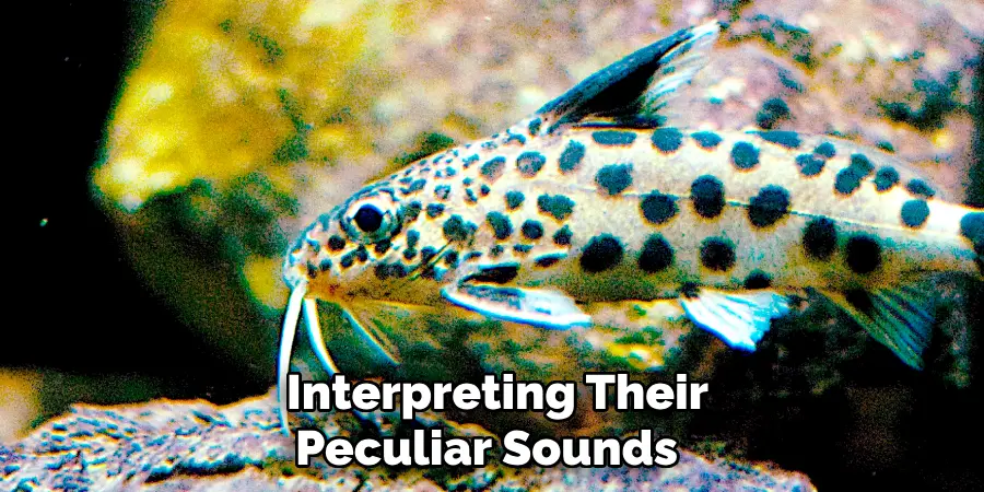  Interpreting Their Peculiar Sounds 