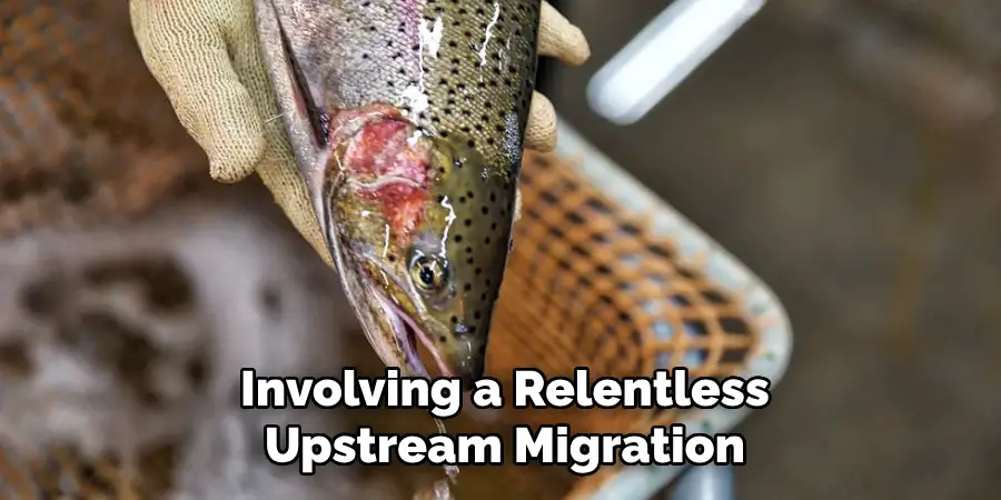 Involving a Relentless
Upstream Migration