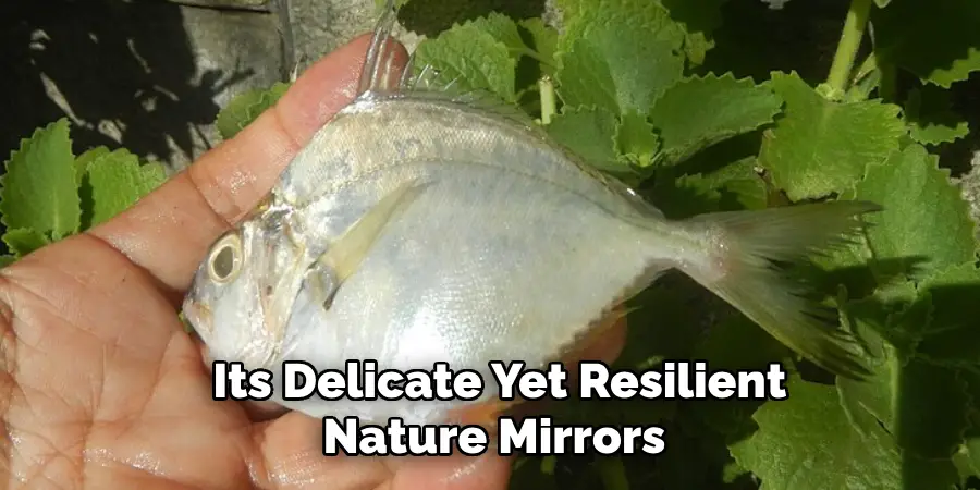 Its Delicate Yet Resilient Nature Mirrors