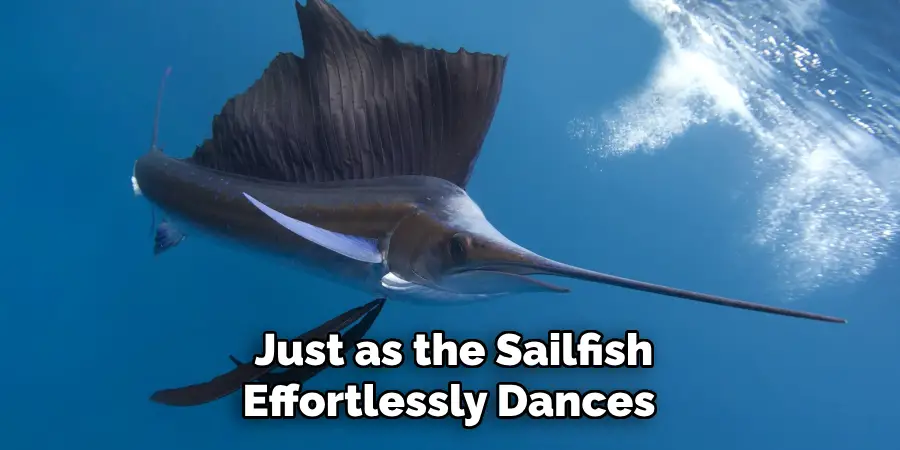 Just as the Sailfish Effortlessly Dances 