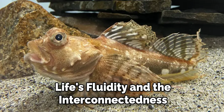 Life's Fluidity and the Interconnectedness