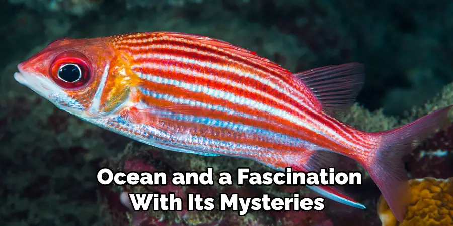  Ocean and a Fascination With Its Mysteries