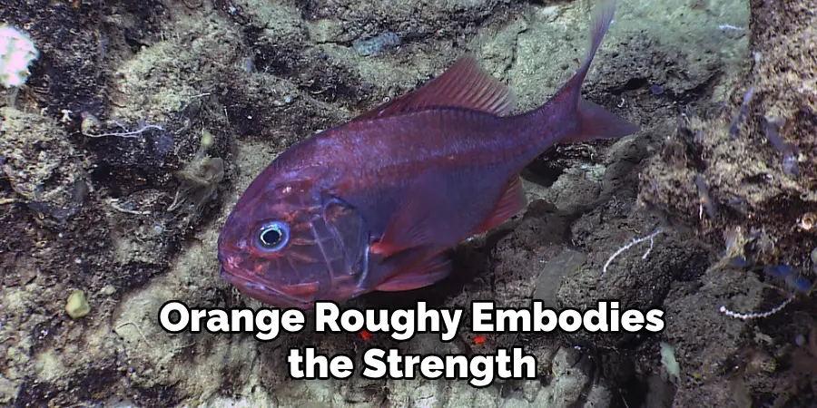 Orange Roughy Embodies the Strength