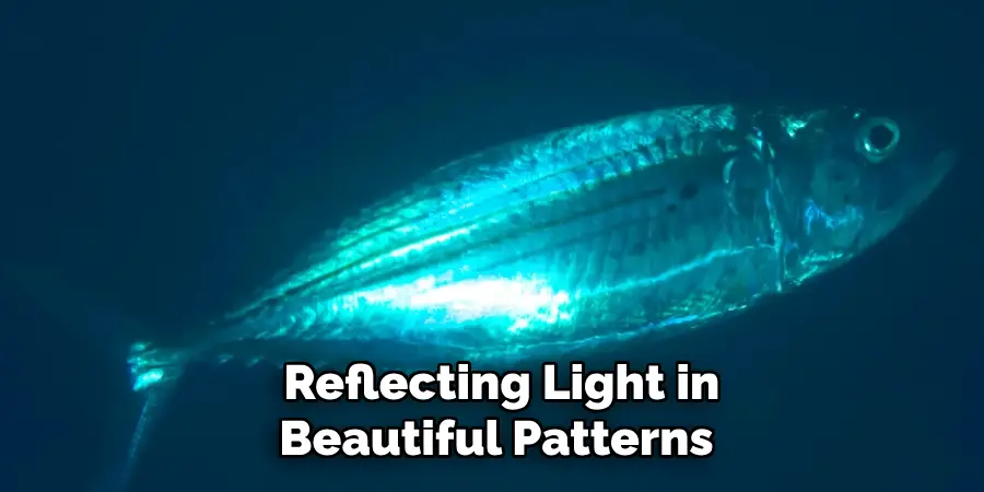  Reflecting Light in Beautiful Patterns