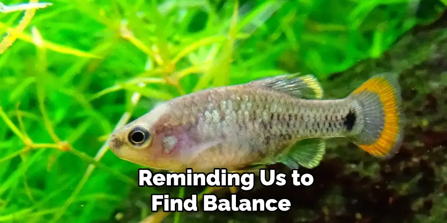  Reminding Us to Find Balance 