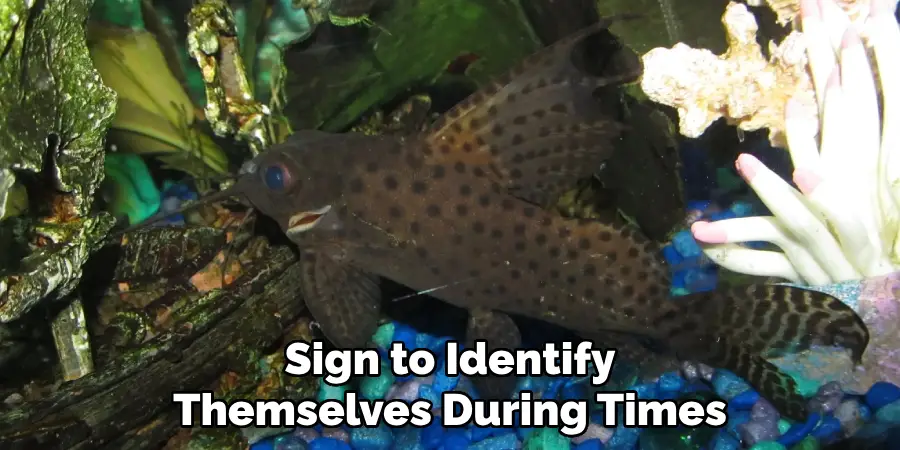 Sign to Identify Themselves During Times