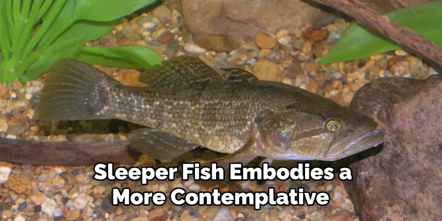 Sleeper Fish Embodies a More Contemplative 