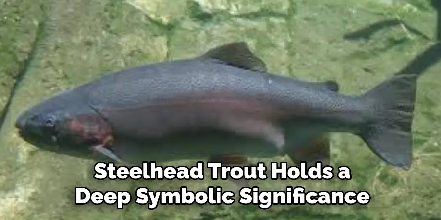 Steelhead Trout Holds a
Deep Symbolic Significance