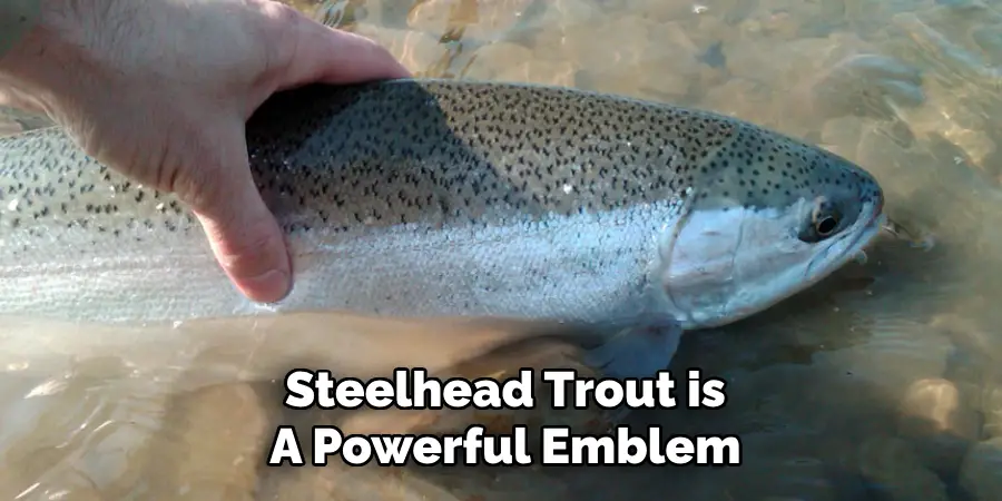 Steelhead Trout is
A Powerful Emblem