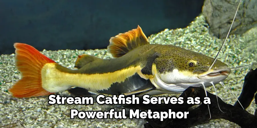 Stream Catfish Serves as a
Powerful Metaphor