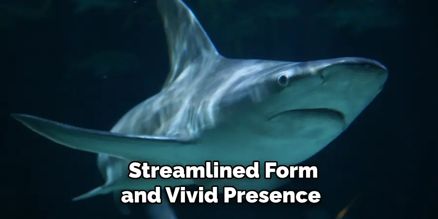  Streamlined Form and Vivid Presence