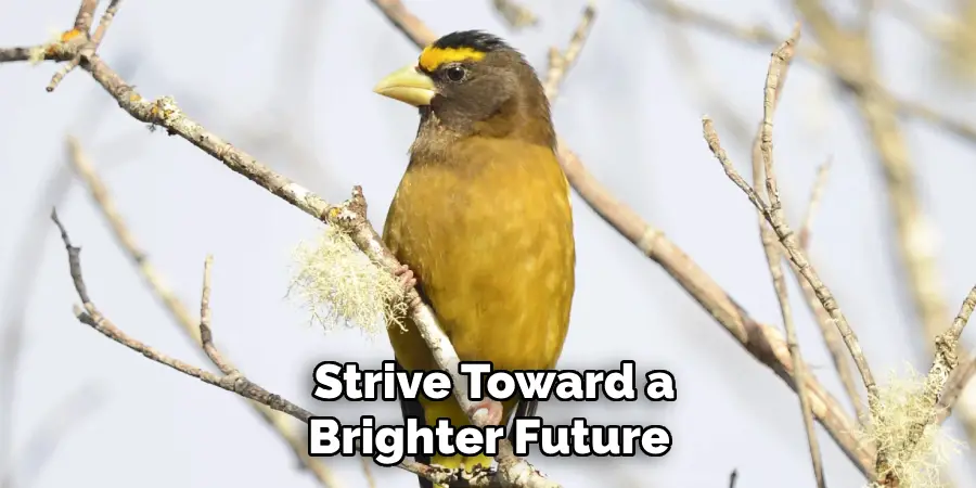  Strive Toward a Brighter Future