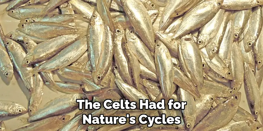 The Celts Had for Nature's Cycles