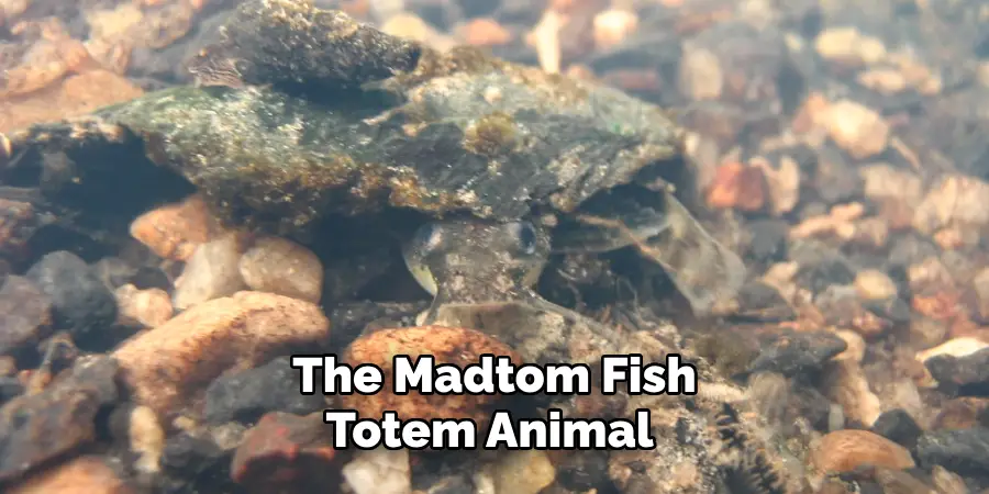 The Madtom Fish Totem Animal