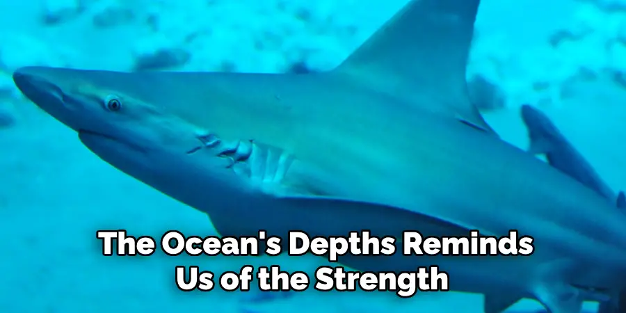 The Ocean's Depths Reminds Us of the Strength 