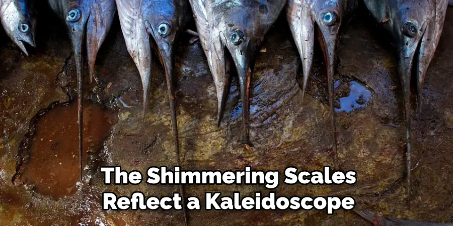 The Shimmering Scales Reflect a Kaleidoscope