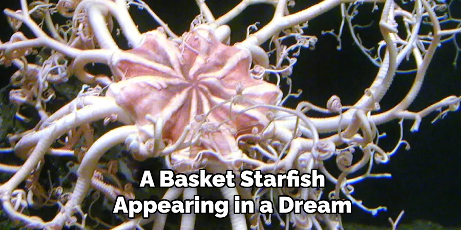 A Basket Starfish Appearing in a Dream