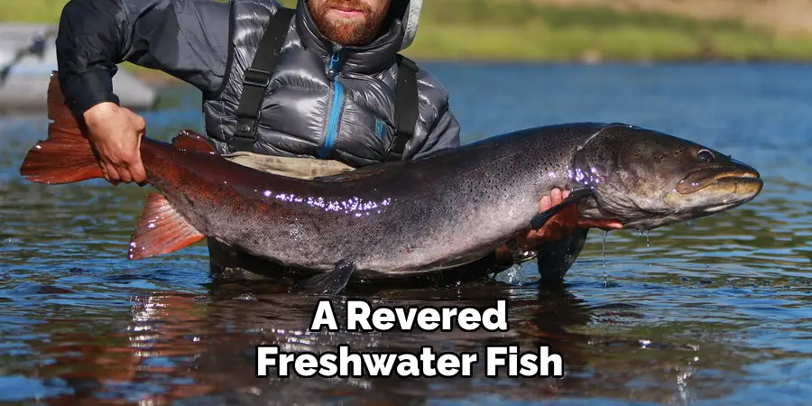 A Revered Freshwater Fish