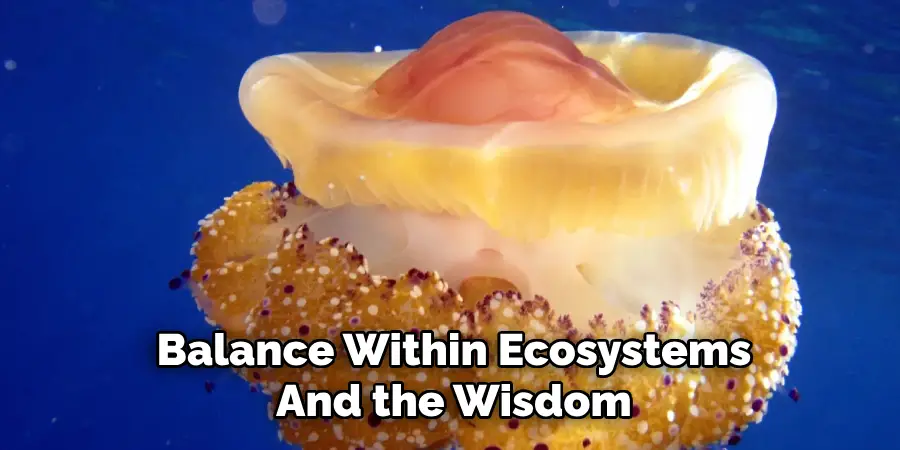 Balance Within Ecosystems
And the Wisdom